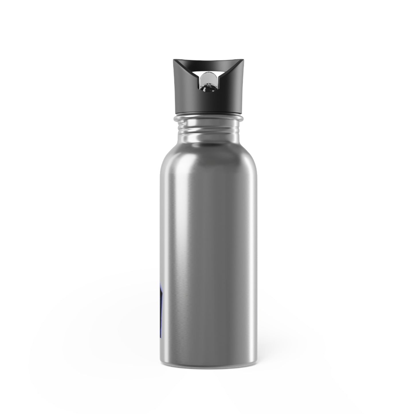 Jin Woo Stainless Steel Water Bottle With Straw, 20oz